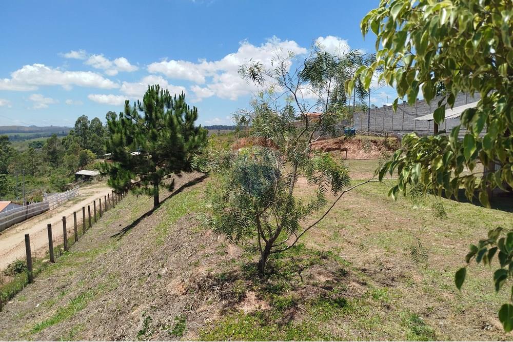 Terreno - Venda - Barbacena , Minas Gerais - IMG_20251112_113111.jpg - 860391012-36