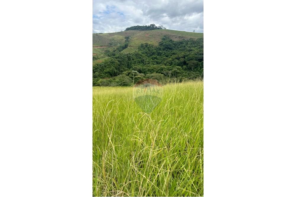 Terreno - Venda - Matias Barbosa , Minas Gerais - 9aa1080d-46cb-4184-975e-78b782f1910a.JPG - 860291033-86