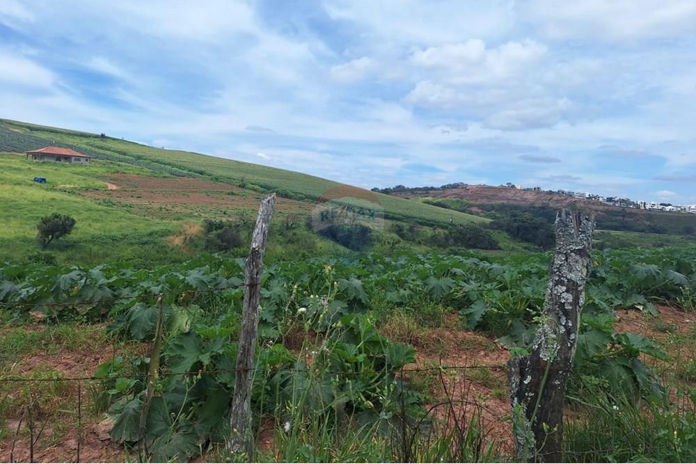 Terreno - Venda - Barbacena , Minas Gerais - WhatsApp Image 2025-01-24 at 14.57.32 (1).jpeg - 860391020-35