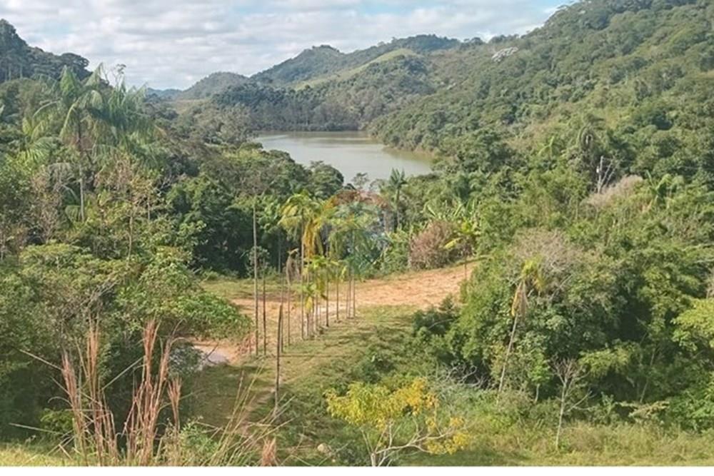 Chácara / Sítio / Fazenda - Venda - Piau , Minas Gerais - WhatsApp Image 2025-06-27 at 19.34.19 (1).jpeg - 860281098-54