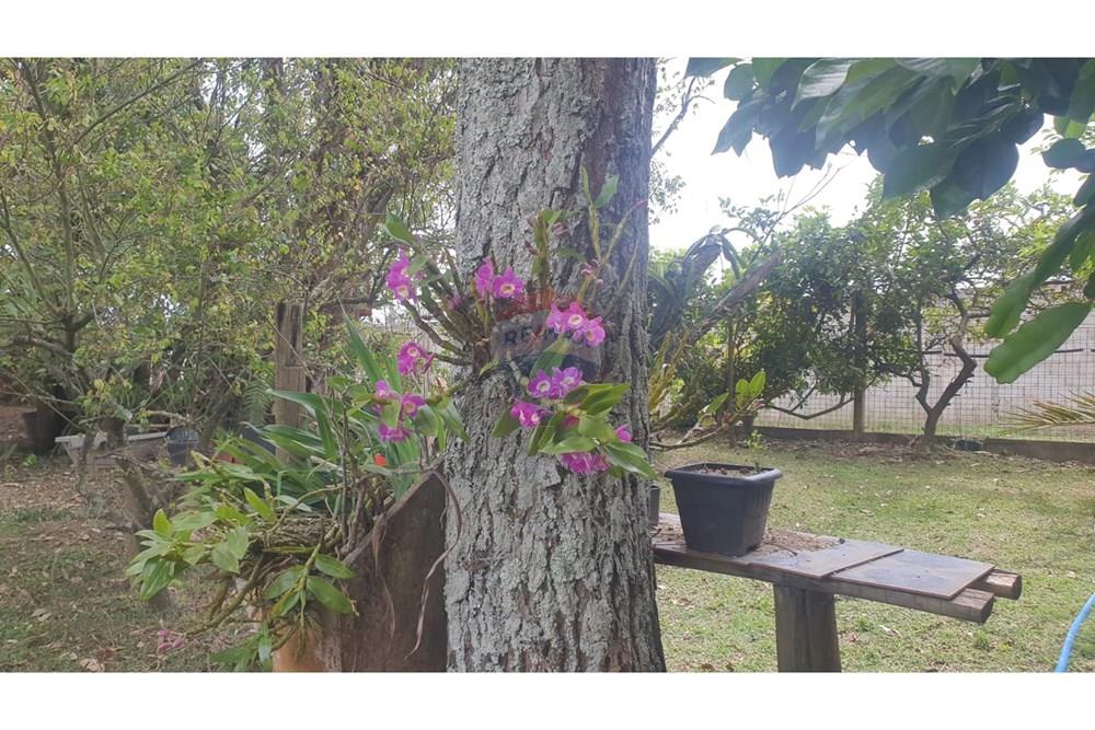 Chácara / Sítio / Fazenda - Venda - Barbacena , Minas Gerais - WhatsApp Image 2025-11-17 at 14.43.28 (24).jpeg - 860391028-24