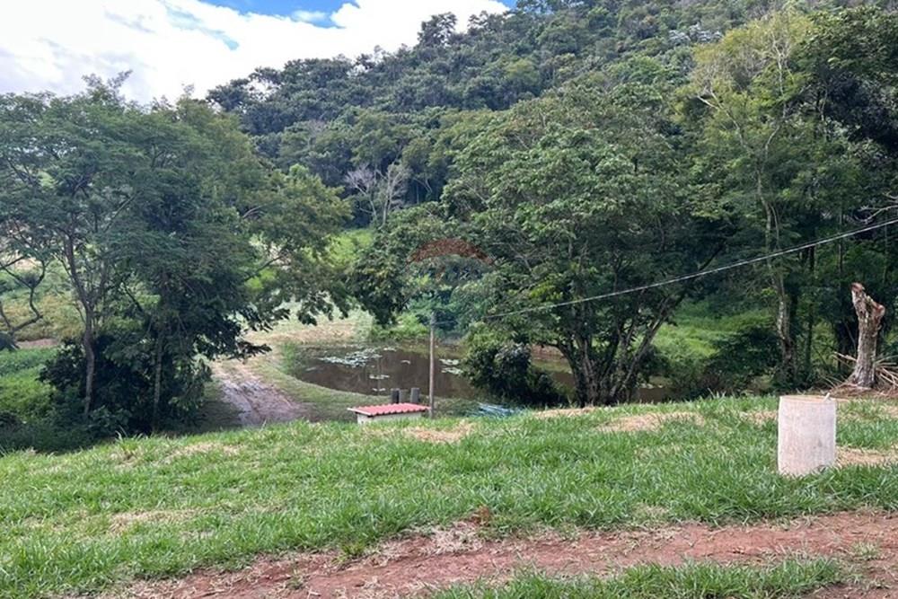 Chácara / Sítio / Fazenda - Venda - Juiz de Fora , Minas Gerais - Sítio (6).jpeg - 860291033-137
