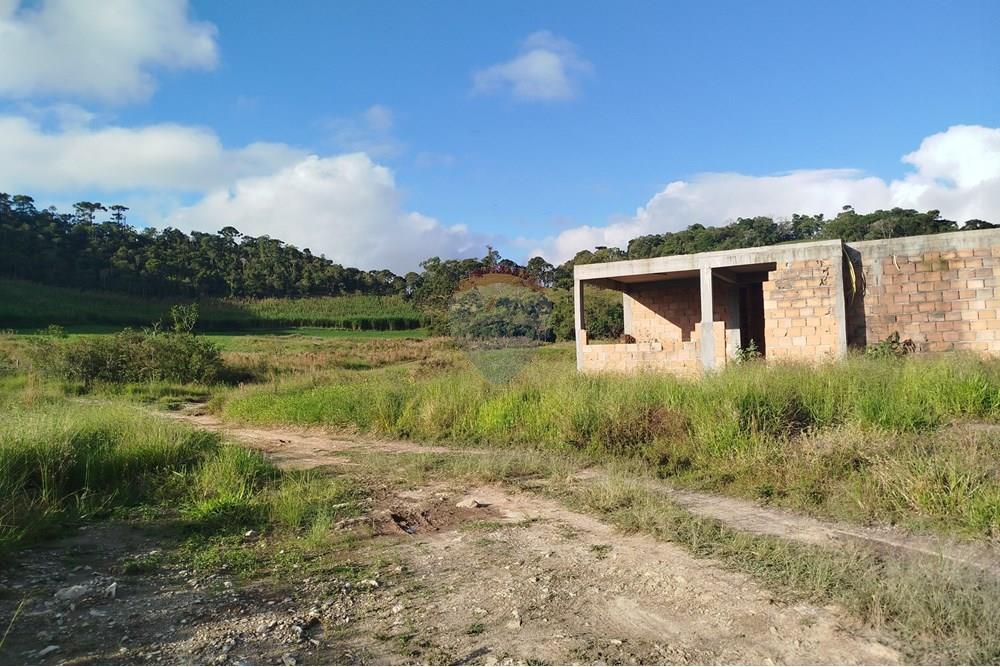 Fazenda - Venda - Barbacena , Minas Gerais - IMG_20250421_161400.jpg - 860391012-32