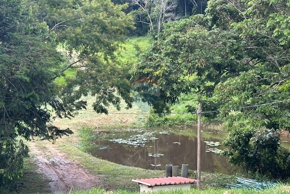 Chácara / Sítio / Fazenda - Venda - Juiz de Fora , Minas Gerais - Sítio (13).jpeg - 860291033-137