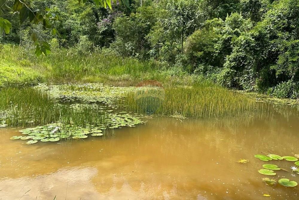 Chácara / Sítio / Fazenda - Venda - Mercês , Minas Gerais - WhatsApp Image 2025-02-18 at 15.49.44.jpeg - 860291033-77