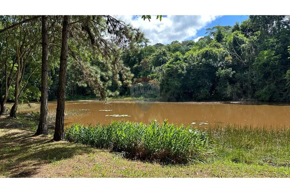 Chácara / Sítio / Fazenda - Venda - Matias Barbosa , Minas Gerais - 4e2bce88-d378-4ce3-8318-1b4d0d482498.JPG - 860291033-99