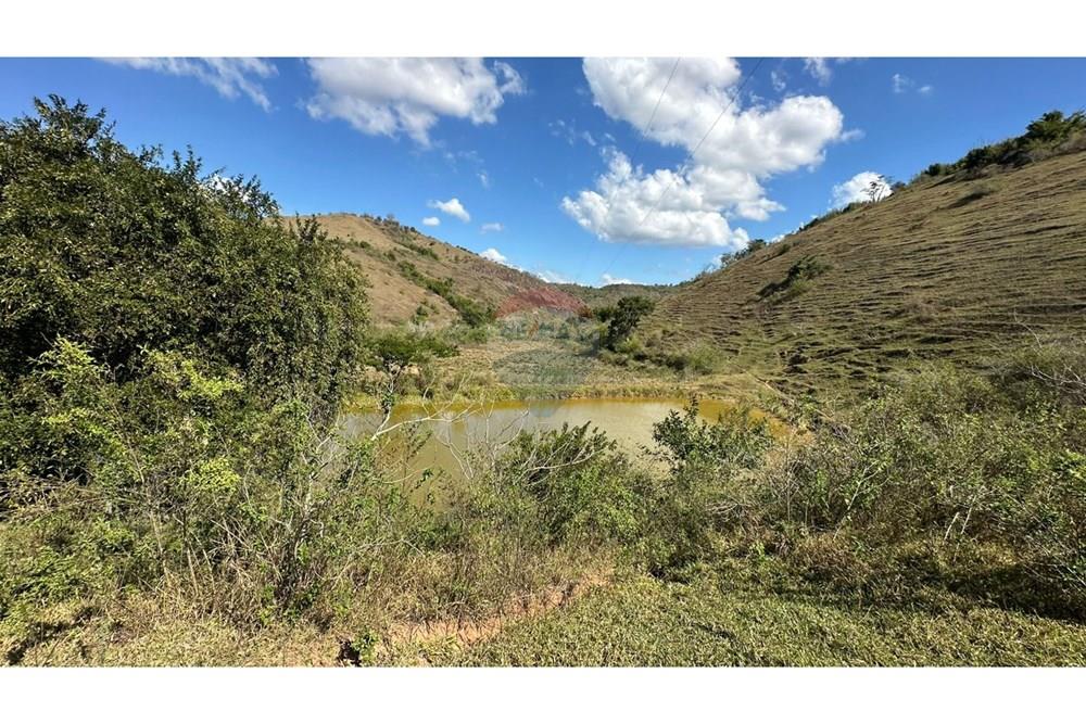 Chácara / Sítio / Fazenda - Venda - Cantagalo , Rio de Janeiro - 6602f7c0-4ffd-4916-a133-1fecc287e43d.JPG - 860291041-3