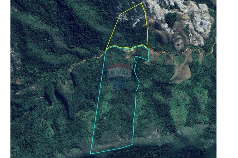 Chácara / Sítio / Fazenda - Venda - Rio Preto , Minas Gerais - WhatsApp Image 2026-01-09 at 08.26.30.jpeg - 860281098-65