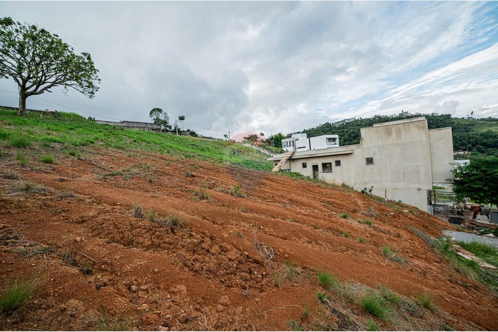 Terreno - Venda - Juiz de Fora , Minas Gerais - michaelseed%20photo_SEMANA3_MAR%C3%87O-2-2.jpg - 860271007-47