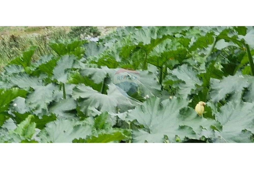 Terreno - Venda - Barbacena , Minas Gerais - WhatsApp Image 2025-01-24 at 11.32.47.jpeg - 860391020-35