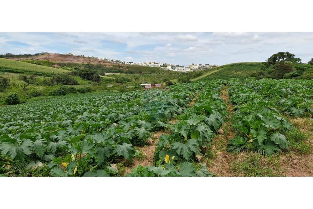 Terreno - Venda - Barbacena , Minas Gerais - WhatsApp Image 2025-01-24 at 11.32.44.jpeg - 860391020-35