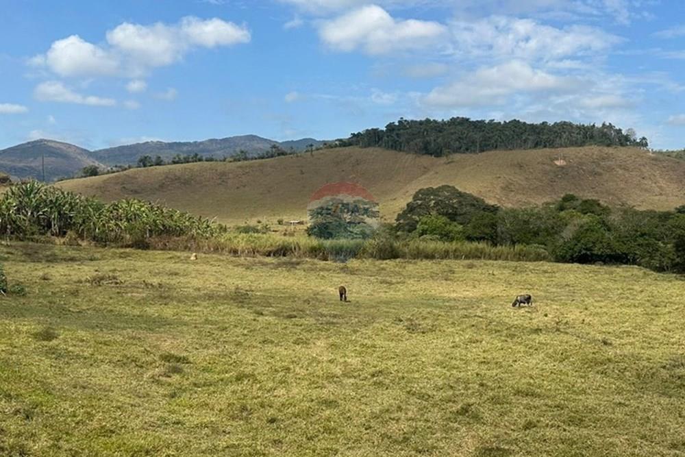 Chácara / Sítio / Fazenda - Venda - Lima Duarte , Minas Gerais - 3d286950-f2ef-40a0-8c77-d6f11c094548.JPG - 860291033-133