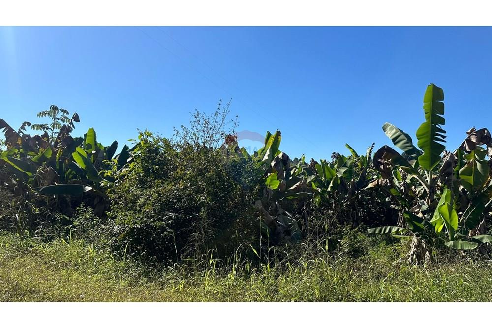 Terreno - Venda - Piau , Minas Gerais - e56e685d-fc2c-453e-9c0f-9de9d0fb4575.jpg - 860211053-60