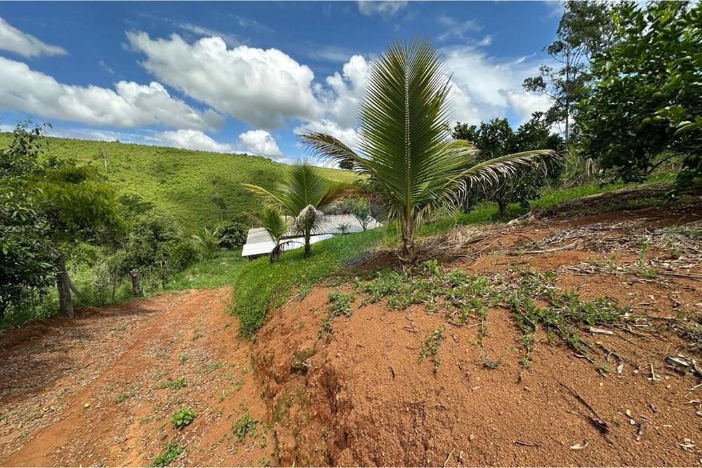 Chácara / Sítio / Fazenda - Venda - Muriaé , Minas Gerais - WhatsApp Image 2026-01-27 at 13.54.08 (2).jpeg - 860371007-116