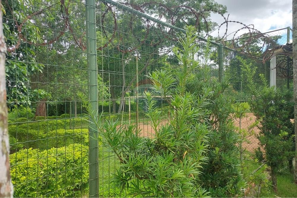 Apartamento - Alugar - Juiz de Fora , Minas Gerais - 1000827607.jpg - 860301050-41