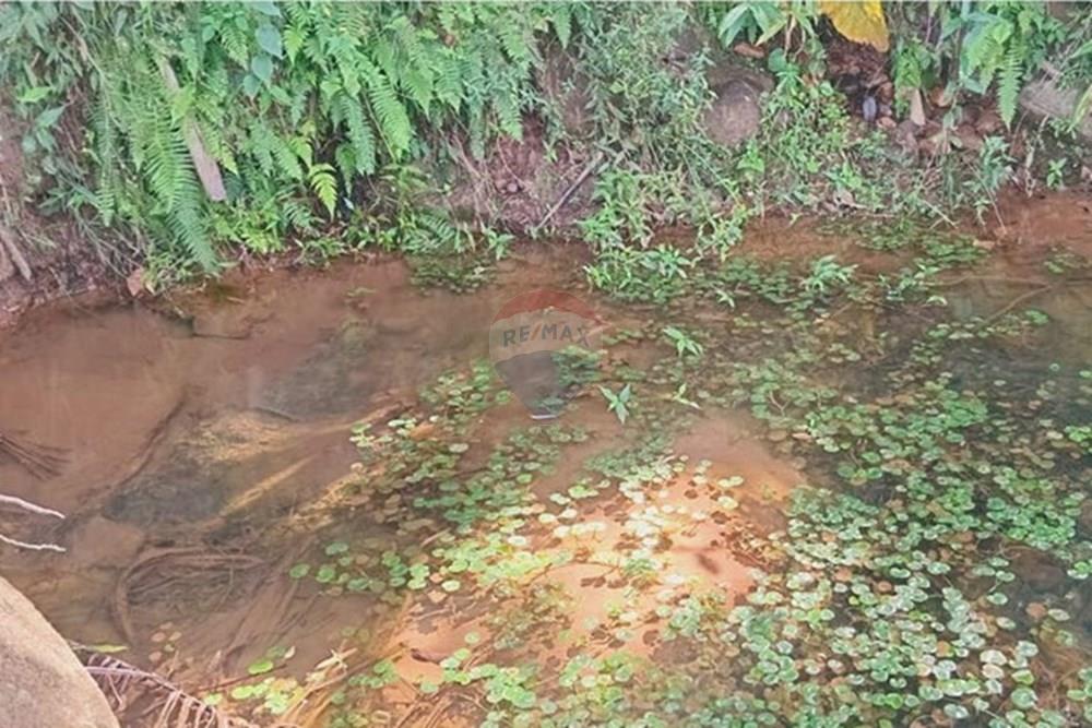 Chácara / Sítio / Fazenda - Venda - Piau , Minas Gerais - WhatsApp Image 2025-06-27 at 19.34.24 (2).jpeg - 860281098-54