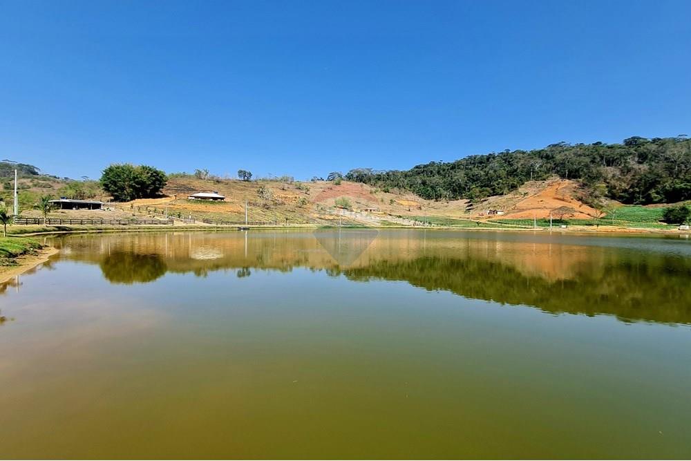 Chácara / Sítio / Fazenda - Venda - Patrocínio do Muriaé , Minas Gerais - 1000322287.jpg - 860371002-115