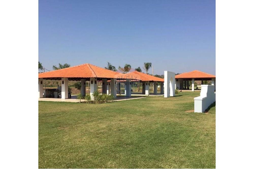 Terreno - Venda - Leopoldina , Minas Gerais - Imagem do WhatsApp de 2025-08-12 à(s) 19.00.03_c86b3fb0.jpg - 860381054-6