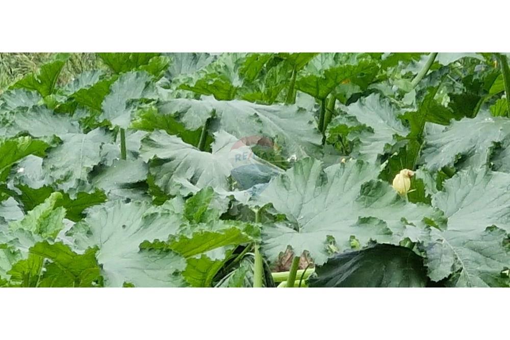 Terreno - Venda - Barbacena , Minas Gerais - WhatsApp Image 2025-01-24 at 11.32.48 (3).jpeg - 860391020-35