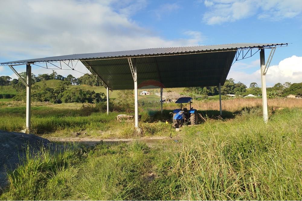 Fazenda - Venda - Barbacena , Minas Gerais - IMG_20250421_160713.jpg - 860391012-32