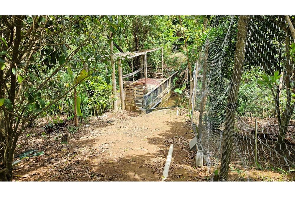 Casa - Venda - Juiz de Fora , Minas Gerais - 20251105_102529.jpg - 860301016-249