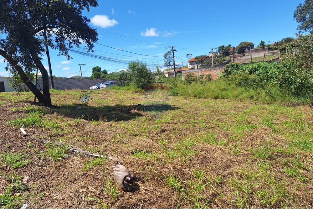 Terreno - Venda - Barbacena , Minas Gerais - WhatsApp Image 2025-04-09 at 11.12.10 (2).jpeg - 860391020-59