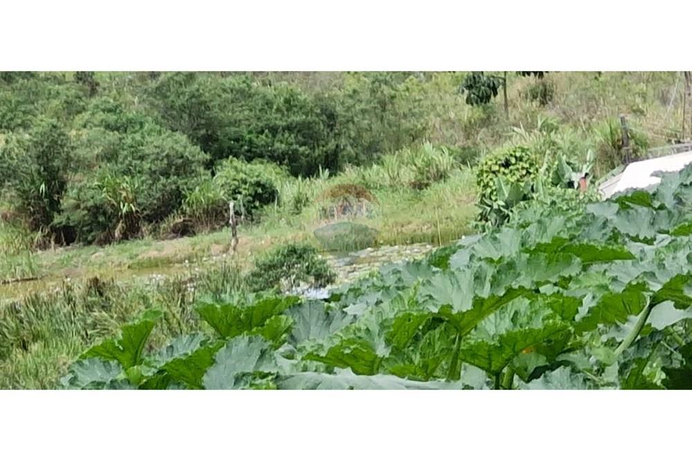 Terreno - Venda - Barbacena , Minas Gerais - WhatsApp Image 2025-01-24 at 11.32.47 (1).jpeg - 860391020-35