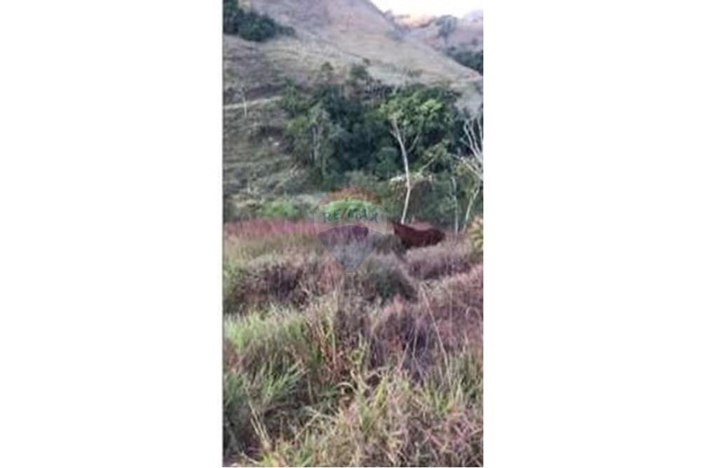 Chácara / Sítio / Fazenda - Venda - Matias Barbosa , Minas Gerais - L_b9a1bd47c4334ffa805c20c15185840d.jpg - 860291033-113