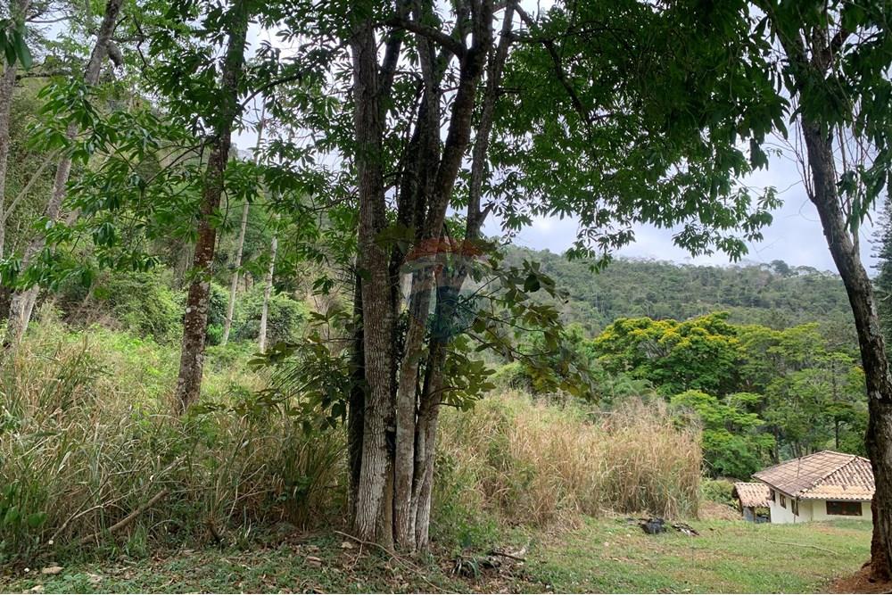 Terreno - Venda - Juiz de Fora , Minas Gerais - sebastiana2.jpg - 860271016-6