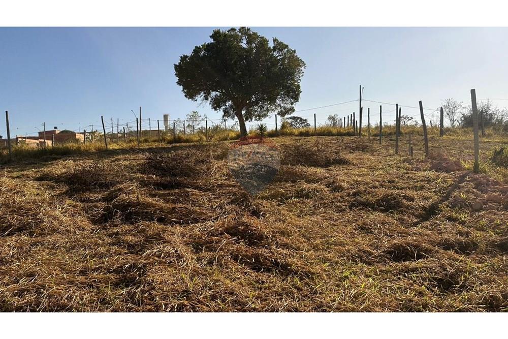 Terreno - Venda - Conselheiro Lafaiete , Minas Gerais - WhatsApp Image 2025-03-06 at 13.49.56.jpeg - 860421029-132