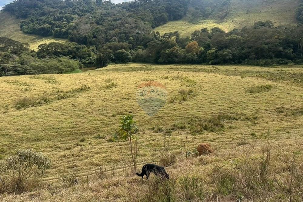Chácara / Sítio / Fazenda - Venda - Lima Duarte , Minas Gerais - 30dd1679-207b-4b80-aabb-2676a91eb58d.JPG - 860291033-133