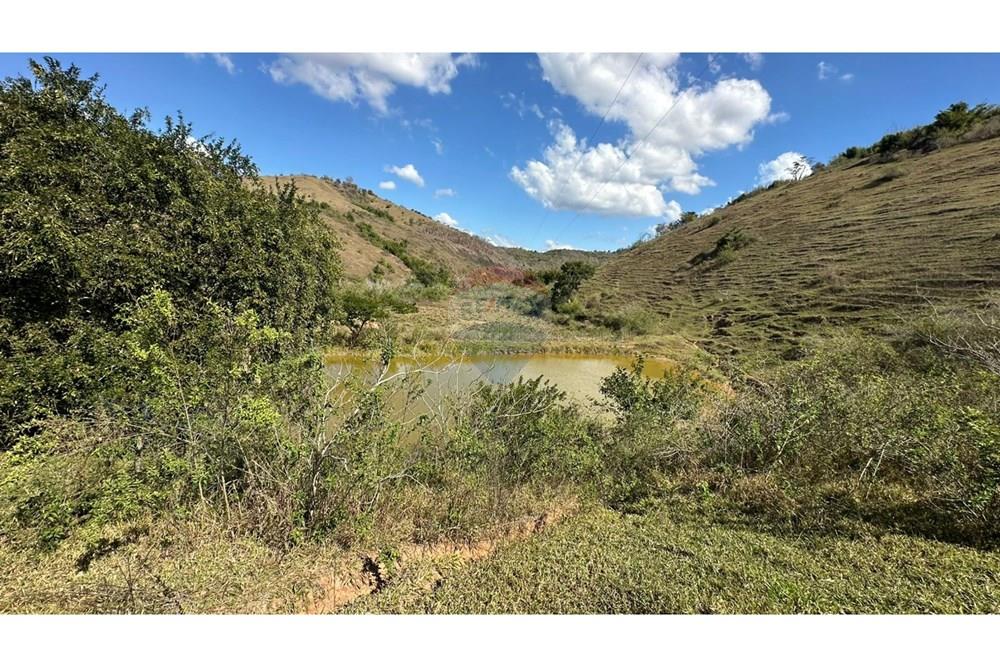 Chácara / Sítio / Fazenda - Venda - Cantagalo , Rio de Janeiro - 0e490296-a018-4b43-ad57-4da63279fb61.JPG - 860291041-3