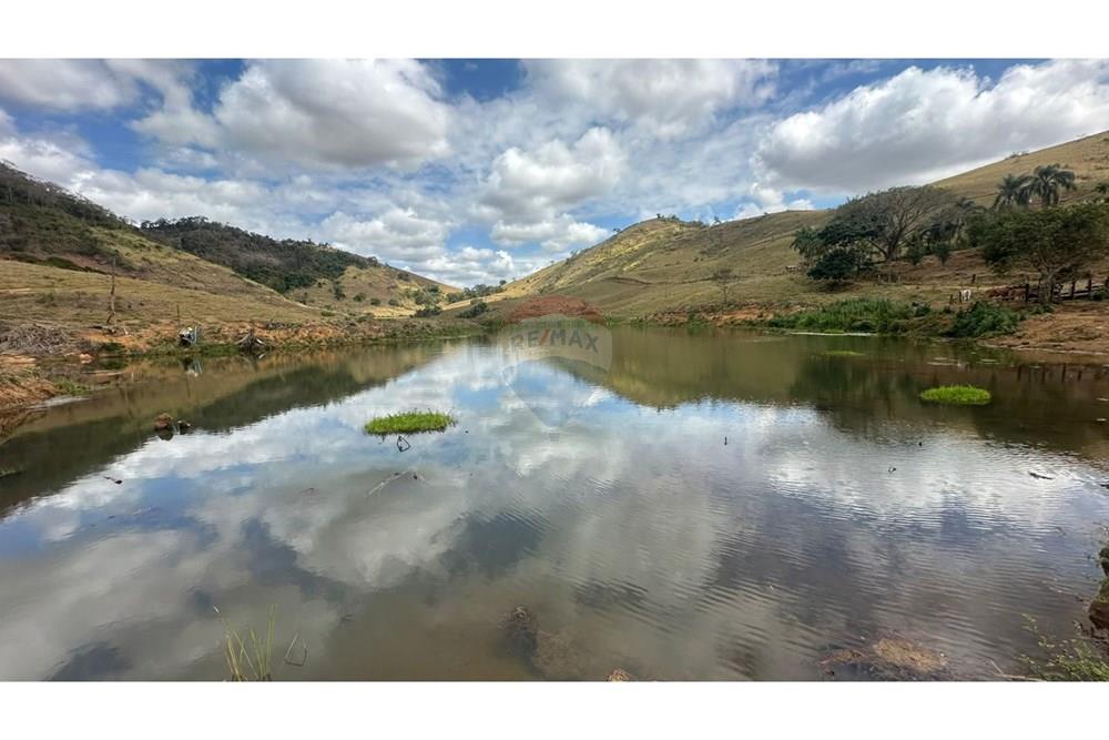 Chácara / Sítio / Fazenda - Venda - Leopoldina , Minas Gerais - WhatsApp Image 2025-09-22 at 10.32.50 (4).jpeg - 860291033-118