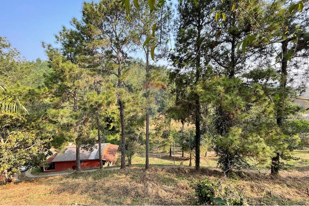 Chácara / Sítio / Fazenda - Venda - Juiz de Fora , Minas Gerais - WhatsApp Image 2024-09-05 at 10.07.53.jpeg - 860281091-75