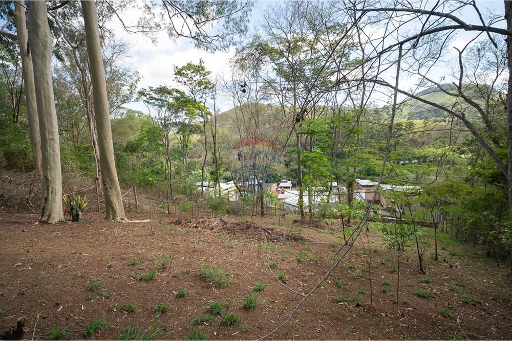 Terreno - Venda - Juiz de Fora , Minas Gerais - michaelseed photo_1103-10.jpg - 860211074-39