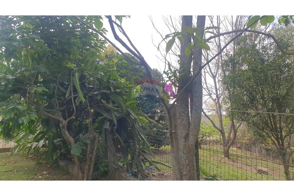 Chácara / Sítio / Fazenda - Venda - Barbacena , Minas Gerais - WhatsApp Image 2025-11-17 at 14.43.28 (26).jpeg - 860391028-24