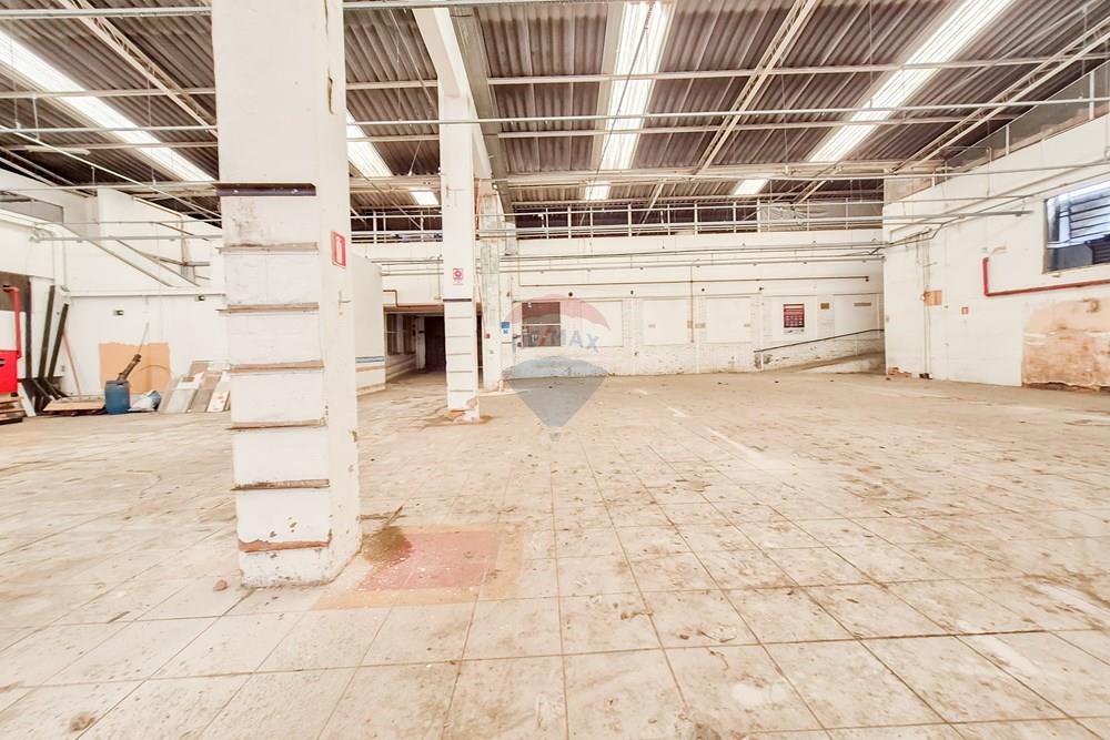 Galpão - Alugar - Juiz de Fora , Minas Gerais - 20260319_134814.jpg - 860301048-57