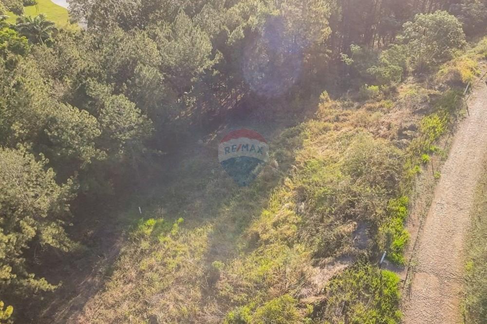 Terreno - Venda - Matias Barbosa , Minas Gerais - michaelseed.photo_SEMANA 2 11-389.jpg - 860361050-63