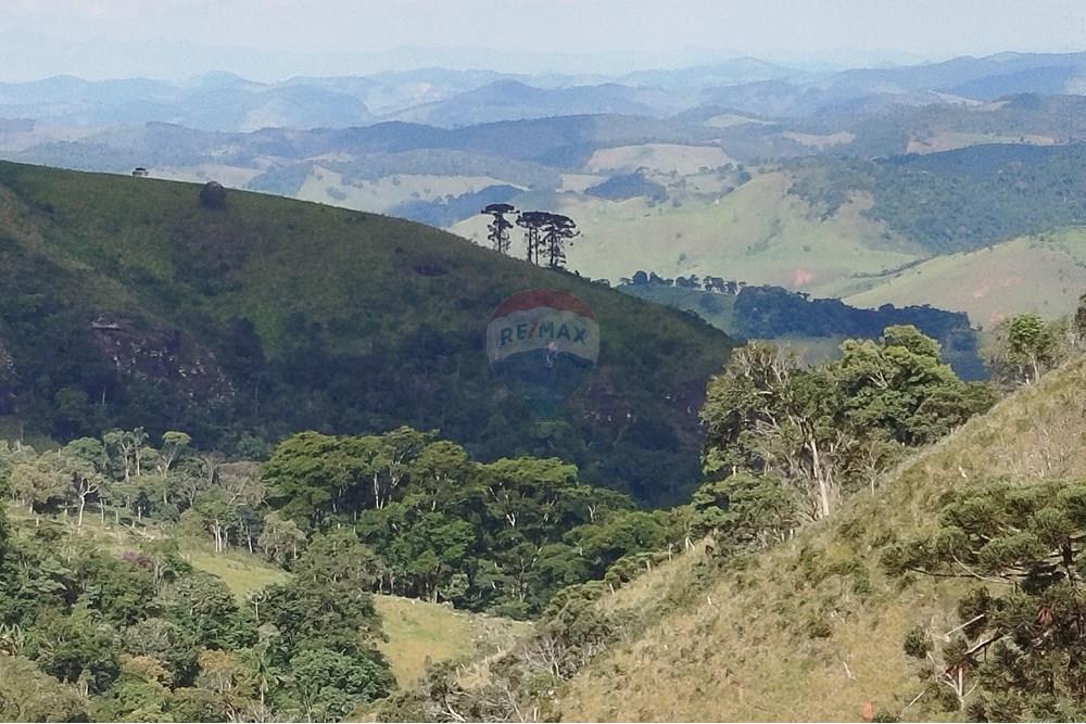 Fazenda - Venda - Barbacena , Minas Gerais - IMG_20250402_150358.jpg - 860391012-32