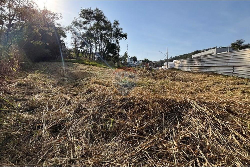 Terreno - Venda - Juiz de Fora , Minas Gerais - WhatsApp Image 2025-08-20 at 18.28.00 (1).jpeg - 860301015-176
