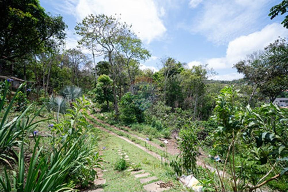 Terreno - Venda - Juiz de Fora , Minas Gerais - saogeraldo3.jpg - 860271016-9