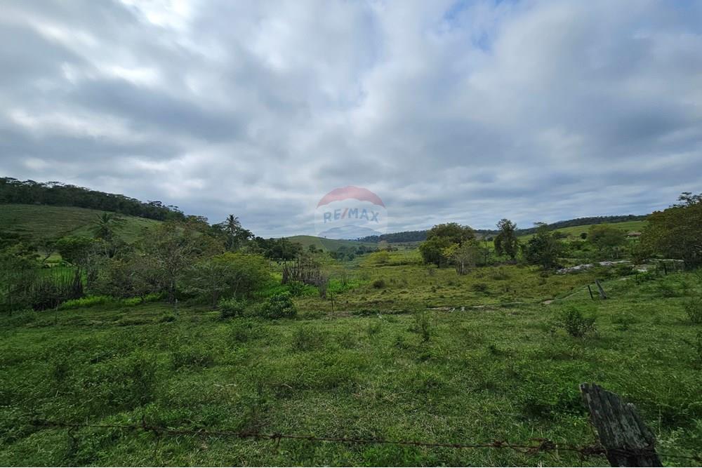 Terreno - Venda - Barão de Monte Alto , Minas Gerais - 20251207_080838.jpg - 860371002-205