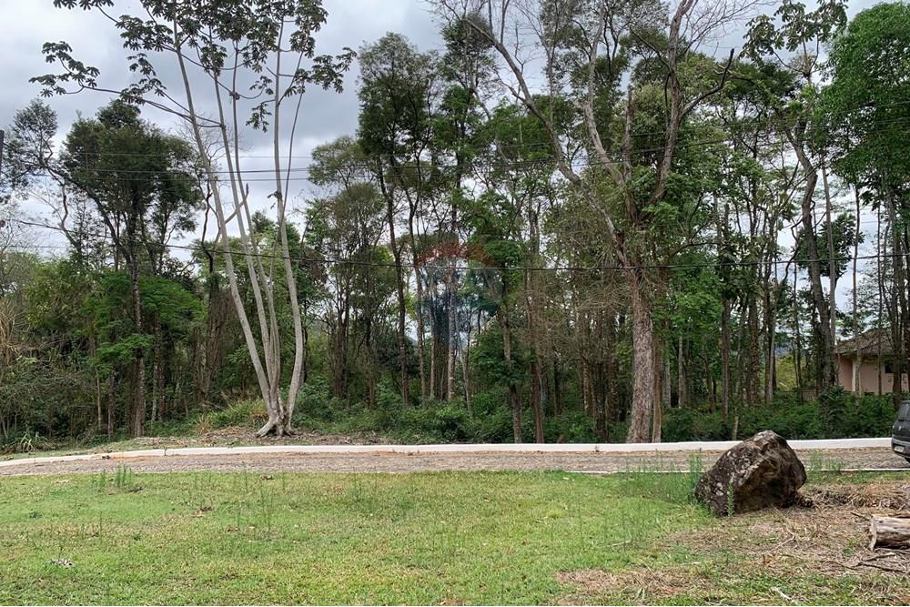 Terreno - Venda - Juiz de Fora , Minas Gerais - sebastiana3.jpg - 860271016-6