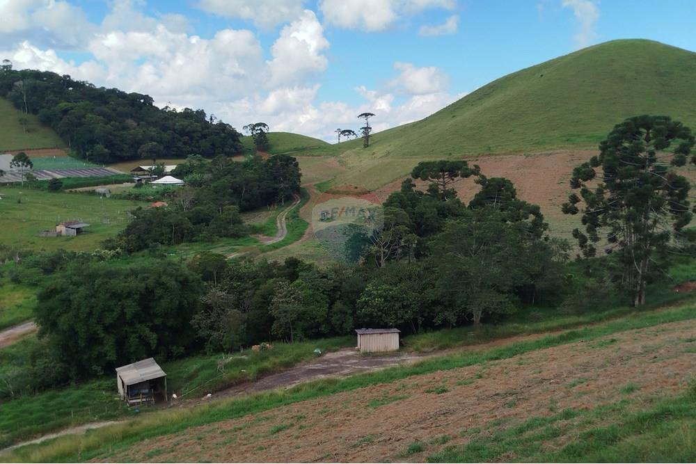 Fazenda - Venda - Barbacena , Minas Gerais - IMG_20250402_144236.jpg - 860391012-32