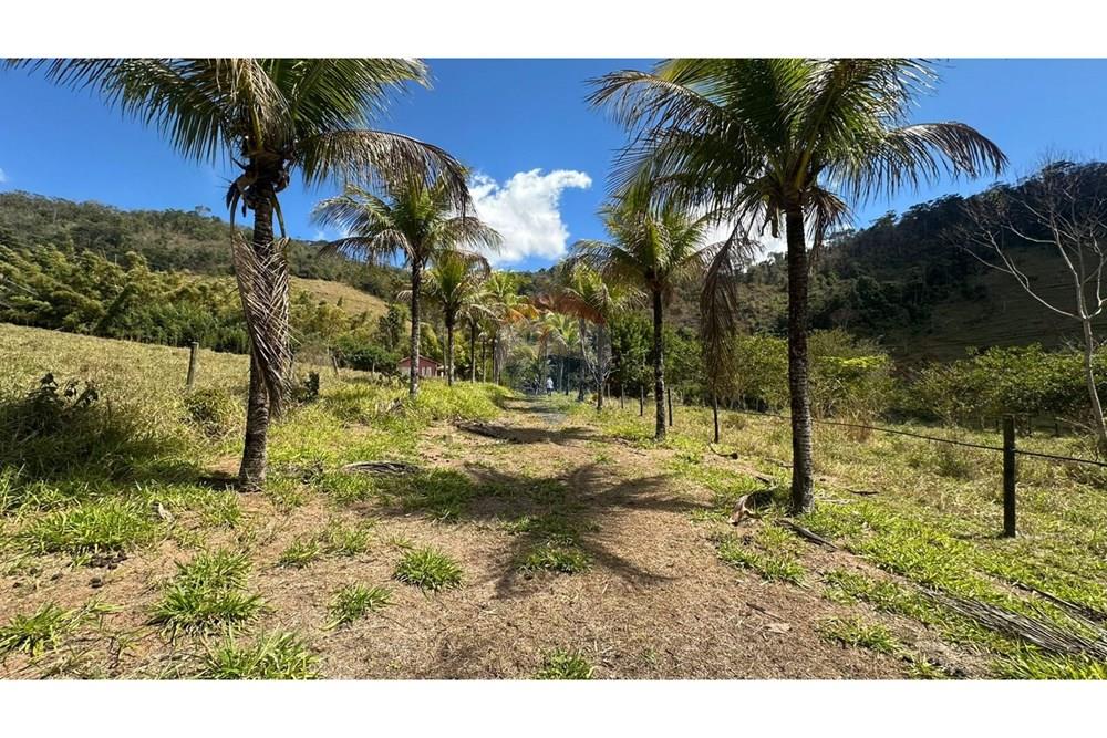 Chácara / Sítio / Fazenda - Venda - Santana do Deserto , Minas Gerais - IMG-20250926-WA0499.jpg - 860291041-20