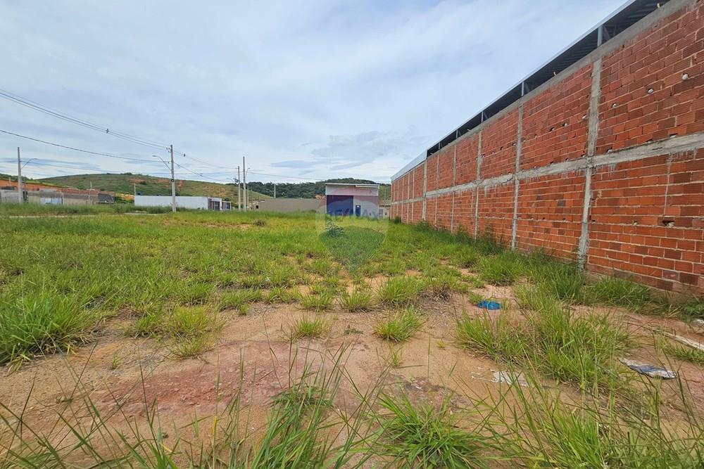 Terreno - Venda - Muriaé , Minas Gerais - 20260119_112414.jpg - 860371002-209