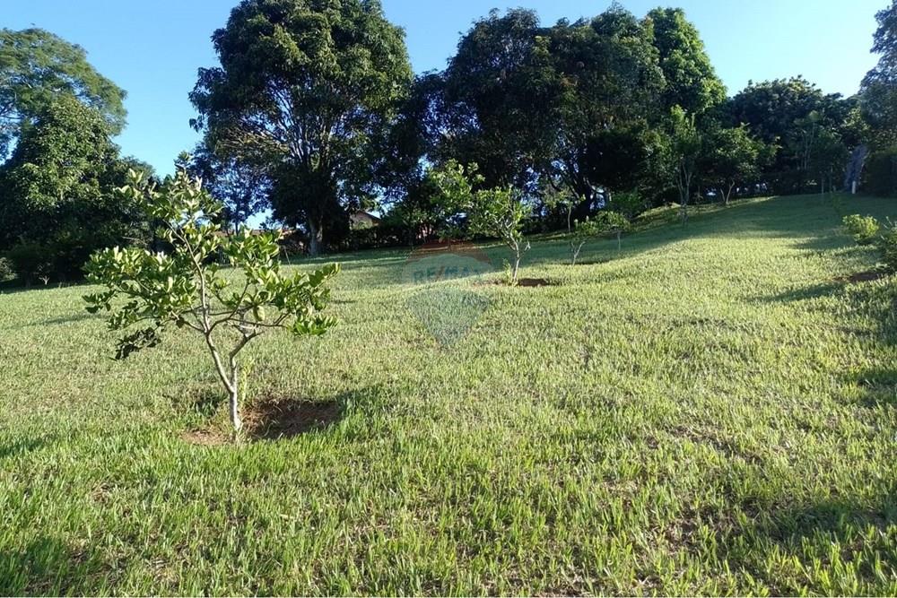 Terreno - Venda - Simão Pereira , Minas Gerais - WhatsApp Image 2025-02-05 at 16.44.59 (2).jpeg - 860281098-70