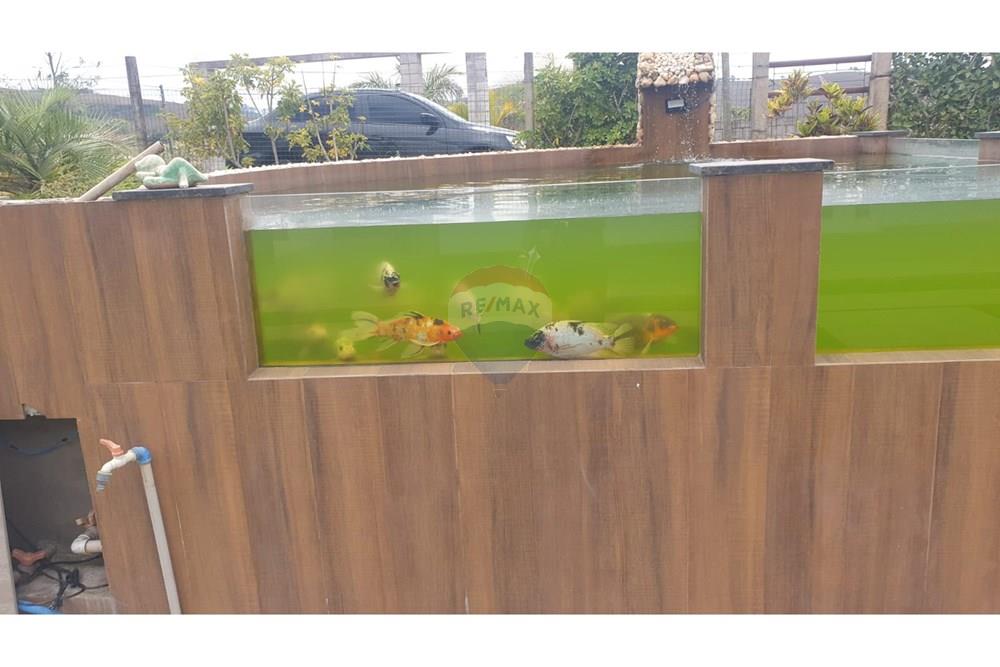 Chácara / Sítio / Fazenda - Venda - Barbacena , Minas Gerais - WhatsApp Image 2025-11-17 at 14.43.28 (6).jpeg - 860391028-24