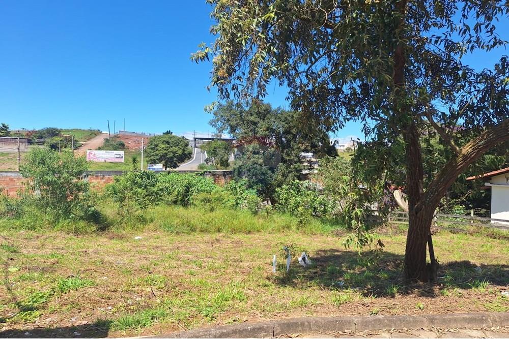 Terreno - Venda - Barbacena , Minas Gerais - WhatsApp Image 2025-04-09 at 11.12.12 (1).jpeg - 860391020-59