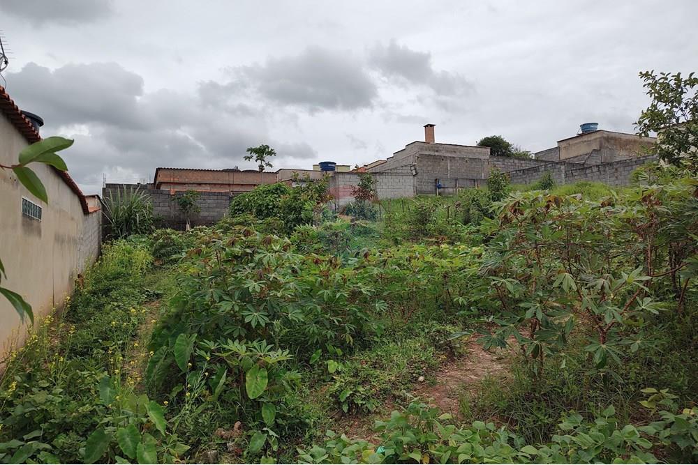 Terreno - Venda - Barbacena , Minas Gerais - WhatsApp Image 2024-12-20 at 10.57.45 (2).jpeg - 860391002-52
